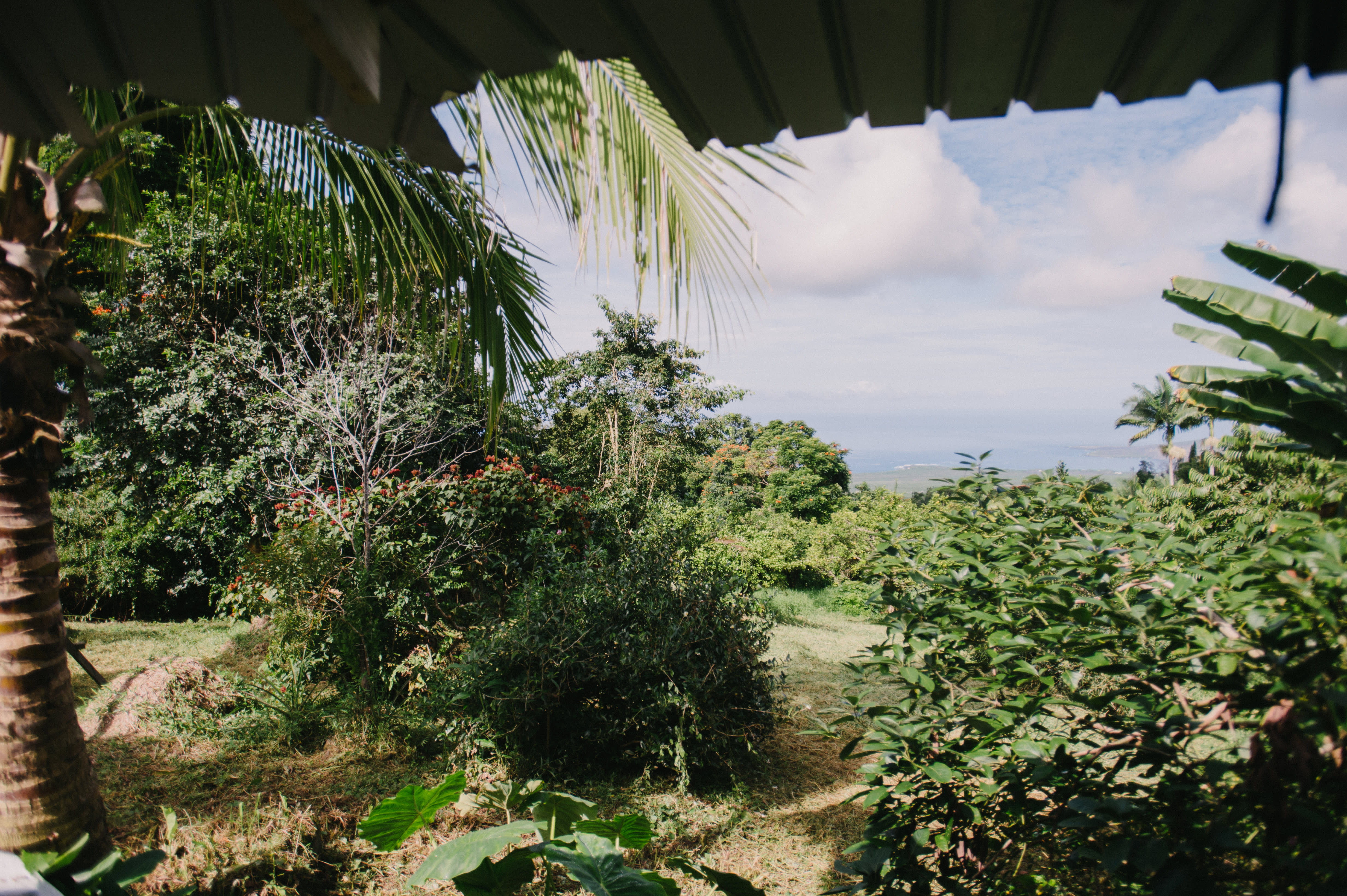 Rustic Hawaiian Homestead House Tour Photos Apartment Therapy